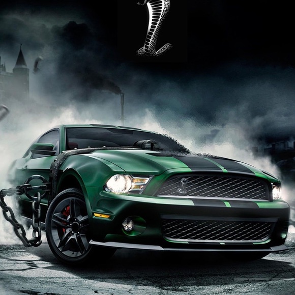 Meet your Posher, Steven - Picture 1 of 1